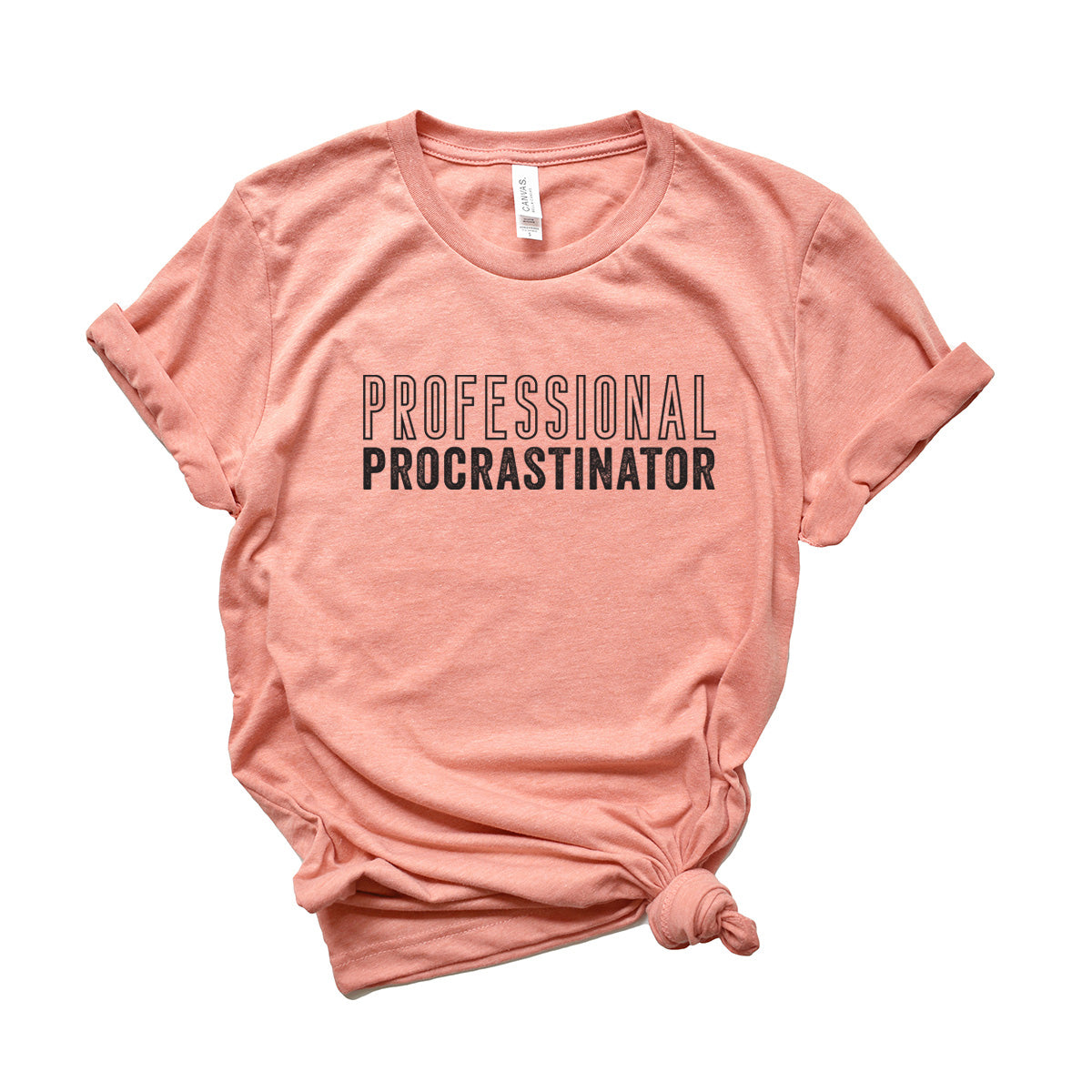Professional Procrastinator | DTF Transfer